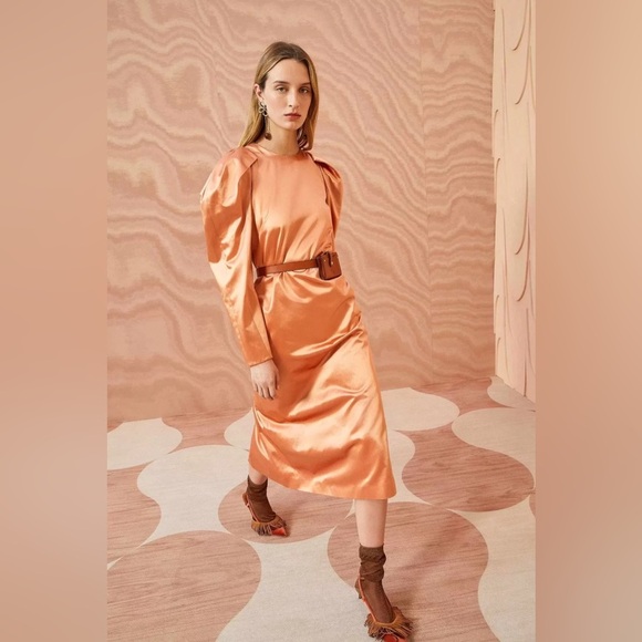 ULLA JOHNSON - Silvana Dress NWT
Retail $920 USD - Picture 5 of 5